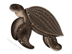 Imagen GIF de Tortuga laud animado