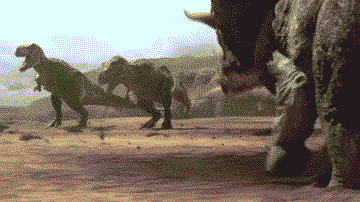 GIF animado (7667) Triceratops luchando