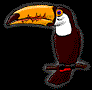 GIF animado (7435) Tucan