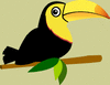 GIF animado (7439) Tucan