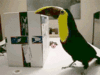 GIF animado (7441) Tucan abriendo caja