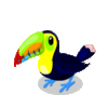GIF animado (7442) Tucan agitando alas
