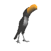 GIF animado (7445) Tucan bailando