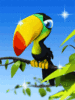 GIF animado (7447) Tucan brillante
