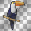 GIF animado (7456) Tucan glitter