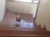 GIF animado (7463) Tucan subiendo escaleras