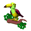 GIF animado (7465) Tucan tropical