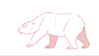 GIF animado (10415) Ursus maritimus