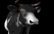 GIF animado (10106) Vaca
