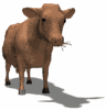 GIF animado (10110) Vaca