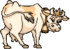 GIF animado (10117) Vaca