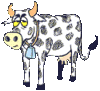 GIF animado (10118) Vaca