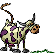 GIF animado (10122) Vaca