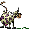 GIF animado (10122) Vaca