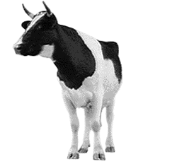 GIF animado (10131) Vaca