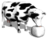 GIF animado (10134) Vaca comiendo