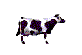 GIF animado (10149) Vaca girando