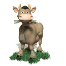 GIF animado (10158) Vaca pastando