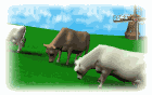 GIF animado (10167) Vacas en el campo