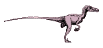 GIF animado (7675) Velociraptor