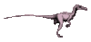 GIF animado (7675) Velociraptor