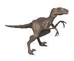 GIF animado (7678) Velociraptor andando