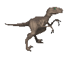 GIF animado (7678) Velociraptor andando