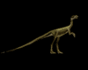GIF animado (7680) Velociraptor oscuro