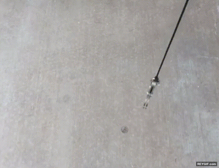 GIF animado (116696) Y luego estos garfios son incapaces de hacerte ganar un peluche
