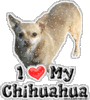 GIF animado (10686) Yo amo a mi chihuahua