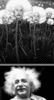 GIF animado (21020) Albert einstein divertido