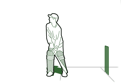 GIF animado (15579) Bateador cricket