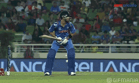 GIF animado (15580) Bateo cricket