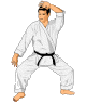 GIF animado (15120) Blockeo karate