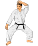 GIF animado (15120) Blockeo karate