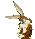 GIF animado (19761) Bugs bunny