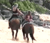GIF animado (24038) Caballo coz