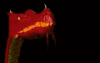 GIF animado (21897) Cabeza dragon rojo fuego