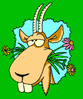 GIF animado (23907) Cabra capricornio