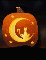 GIF animado (22824) Calabaza halloween gato negro