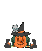 GIF animado (22827) Calabaza halloween gato negro