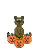 GIF animado (22806) Calabaza halloween osito