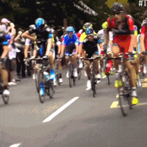 GIF animado (15566) Ciclistas