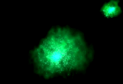 GIF animado (21137) Colision entre galaxias