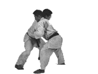 GIF animado (15096) Combate judo