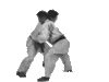 GIF animado (15096) Combate judo