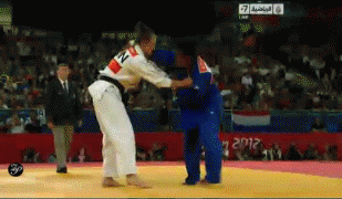 GIF animado (15097) Combate judo