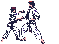 GIF animado (15121) Combate karate