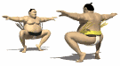 GIF animado (16587) Combate sumo