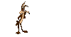 GIF animado (19824) Coyote